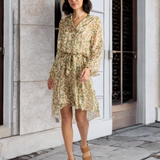 Stella Silk Print Dress